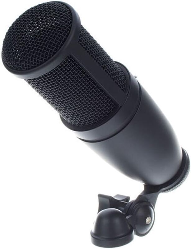 AKG Pro Audio P120
