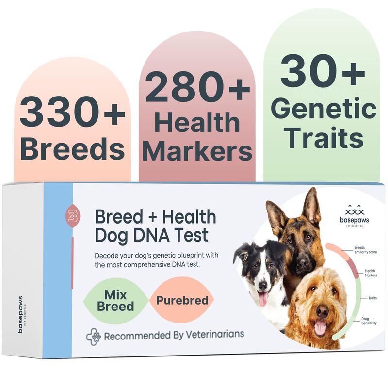 Basepaws Dog DNA Test