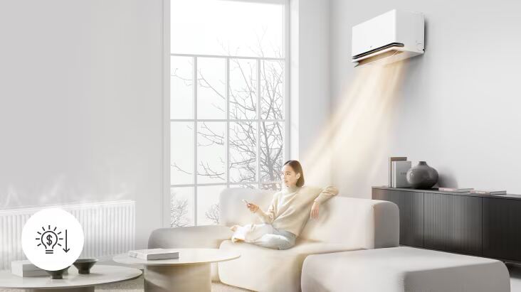 LG Artcool Deluxe KNSAL