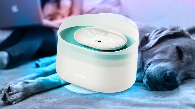 Petlibro Capsule Dog Fountain