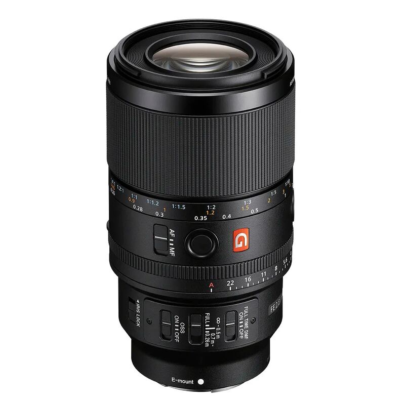 Sony FE 100mm f/2.8 Macro GM OSS (E mount)