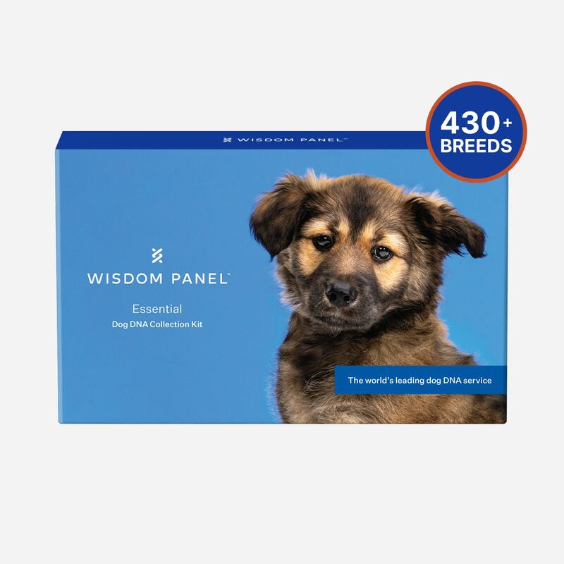 Wisdom Panel Essential Dog DNA Test