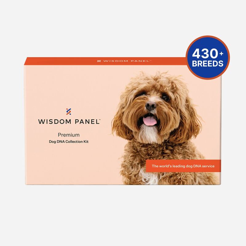 Wisdom Panel Premium DNA Kit